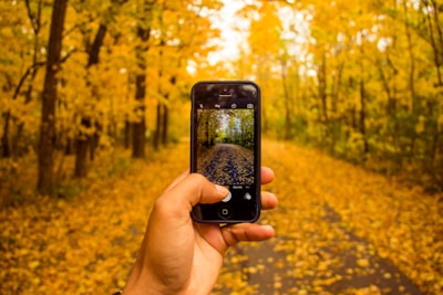 ¿Las apps móviles impulsan la eco-transformación digital?