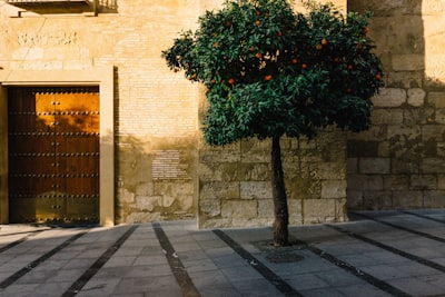 Caso de éxito: Portal de franquiciados con auditorías en Sevilla 2026