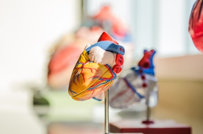 How Federated Learning Improves Heart Risk Prediction