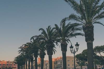 La mejor forma de hallar empresas de desarrollo web en Palma