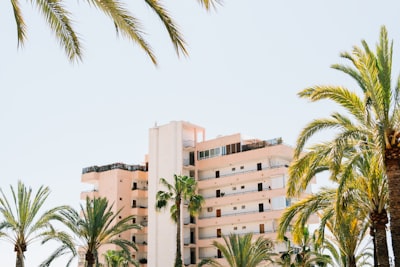 Top 3 expertos en software a medida e IA en Palma