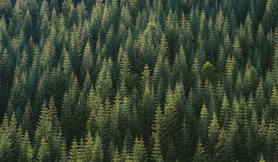 KPP: Nueva representación geométrica para bosques aleatorios