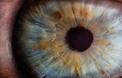 Evaluación de calidad retiniana con prioridades anatómicas