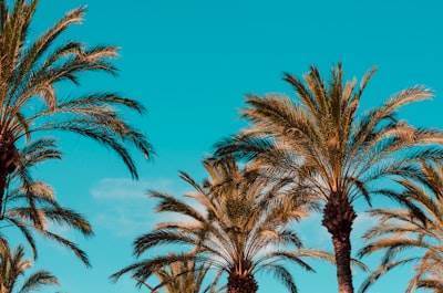 Mejores empresas de software en Marbella