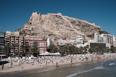 Los 3 expertos en intranet con calendario interno en Alicante