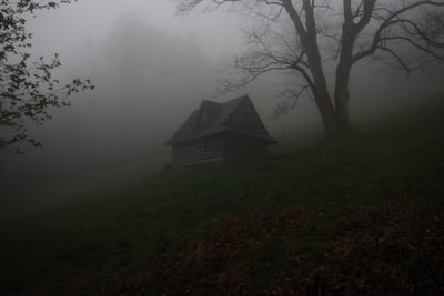 Comportamiento indefinido: ¿Fantasmas o límites del modelo?