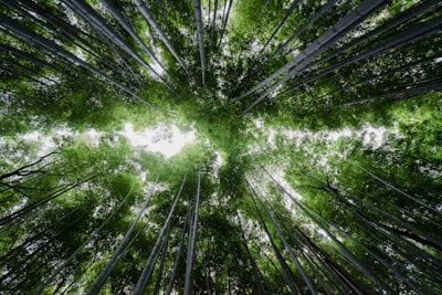 Por qué Renew IT es diferente: ciencia, IA y sostenibilidad.
