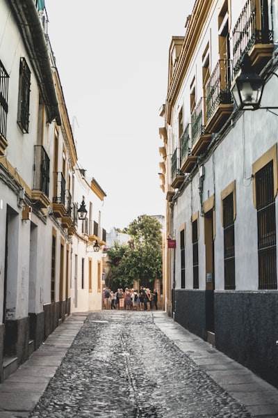 Los mejores expertos en bots de Instagram en Córdoba