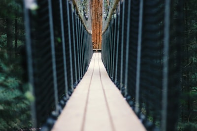 Construyendo servidores MCP como puentes API