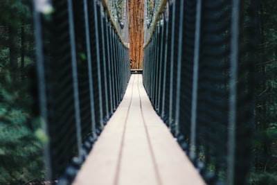 El Puente de la IA con Tus Datos