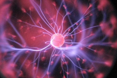 Redes neuronales atractor auto-ortogonalizantes desde el principio de energía libre
