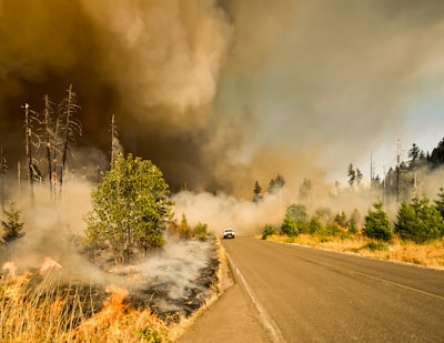 Pronósticos de incendios más fiables con deep learning