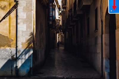 Automatizando flujos de trabajo con IA en Palma