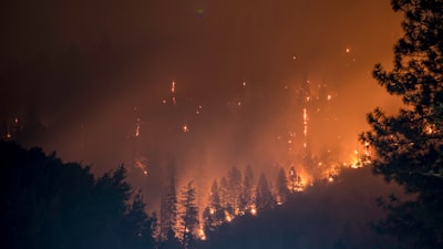 ML guiado para cortes de energía óptimos y reducción de incendios