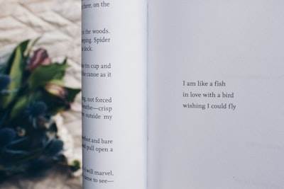 Automatización de la transcripción de poemas de Instagram con Python + LLM Vision