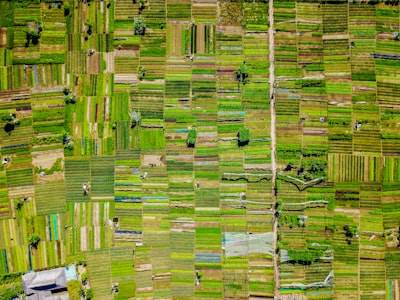 Optimización Continua para Microredes de Agricultura Inteligente