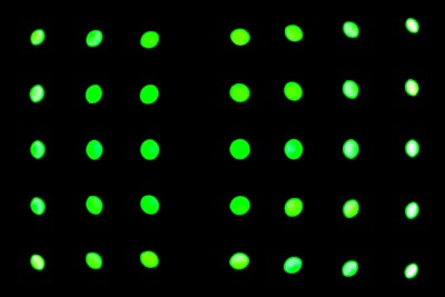 Effectiveness of Binary Autoencoders for QUBO-Based Optimization Problems
