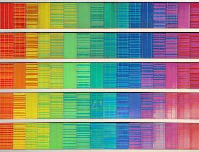 Caracterización de biofilm mediante Espectroscopía Raman en tiempo real