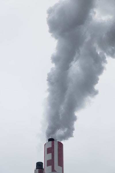 Importance of Reducing Carbon Emissions: A Brief Guide