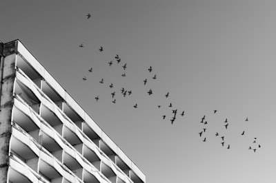 Migración de software antiguo a una arquitectura moderna: patrón Capa Anticorrupción
Migración de software legado a arquitecturas modernas: Patrón Capa Anticorrupción