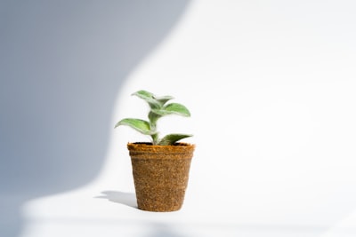 Desarrollo de productos potenciado por IA: Motor de crecimiento para startups y pymes