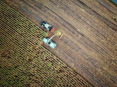Transferibilidad geográfica en modelos agrícolas