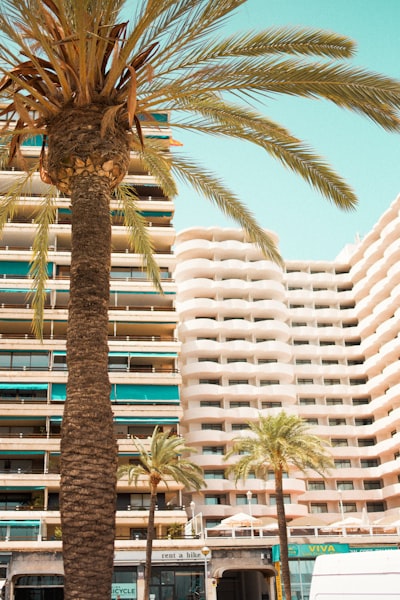 Servicios de informes automatizados de acciones en Palma