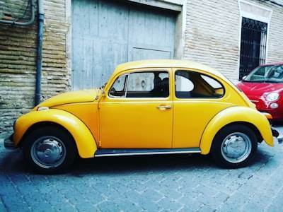 Socio oficial de bots en Caravaca de la Cruz