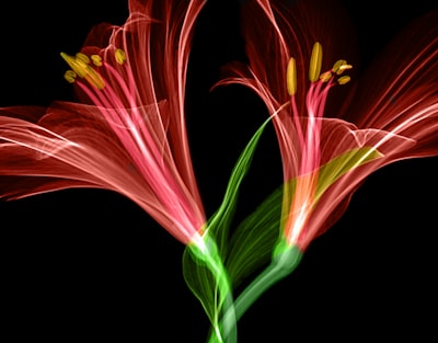 Flores: Un Impulsor de Warp Drive para Solucionadores de EDP Neuronales