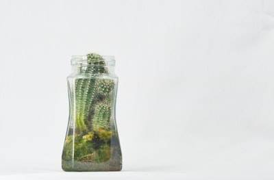 Comparación de costos para ONGs