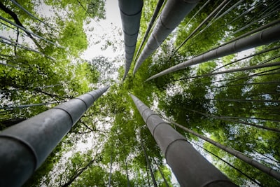 Cómo la ingeniería de sistemas empresariales puede apoyar los objetivos medioambientales