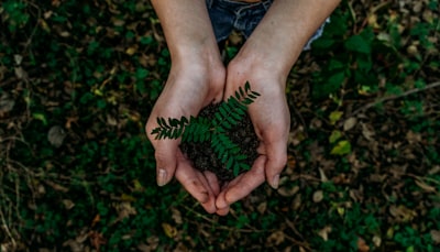 Democratizando la monitorización ecológica con IA sostenible en el borde