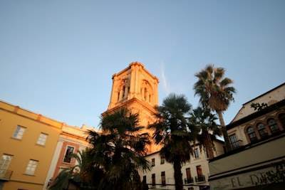 Top 5 Mobile App Companies in Las Palmas de Gran Canaria