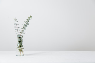Building an AI-Powered White Label Wealth Management Platform in the UAE