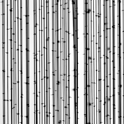Combinando pausas y coherencia para evaluar trastornos del pensamiento