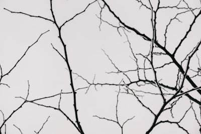 Neuro-Simbólico: Abrir los ojos al subconsciente
