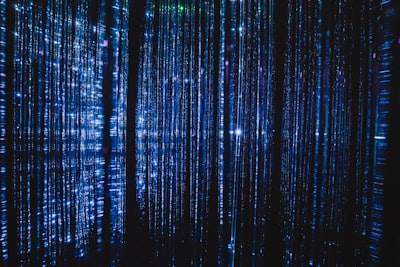 Navegando en el Reino de los Datos Sintéticos