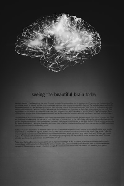 Descubre los expertos en comprensión documental cognitiva de Alicante