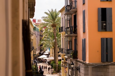 Sistema de gestión para tiendas boutique en Alicante