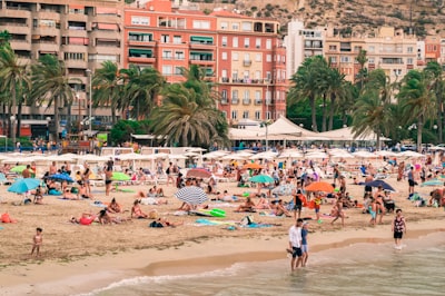 Top 10 Empresas de Bots de Instagram en Alicante