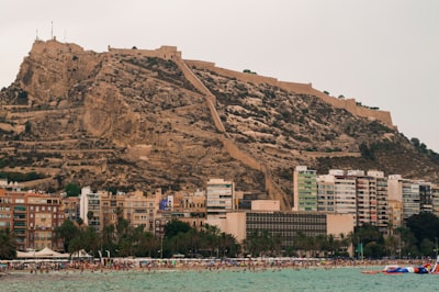 Mejores Expertos en IA para SLA en Alicante