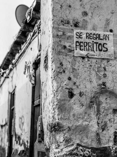 ¿Cómo migrar un CRM antiguo a una página web personalizada en Santa Cruz de Tenerife?