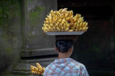 Domina tu mente para lograr el éxito con Wild Wild Bananas.