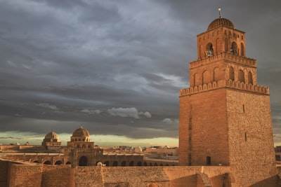 Top 20 Expertos en Bots de Redes Sociales en Alcázar de San Juan