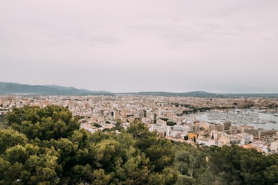 Los 20 mejores expertos en bots de Instagram en Palma