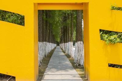"API Gateway Patterns: An Essential Guide for Developers"
----------------------------------------------------------
"Guía Básica de Patrones API Gateway para Desarrolladores"