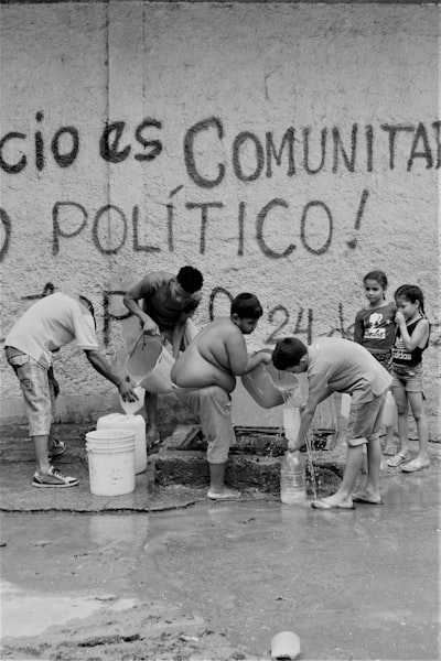 Compresión de grafos: ordenamiento de vértices con conciencia de comunidad