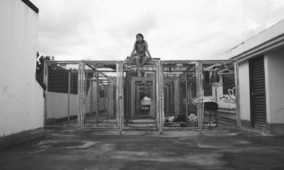 Factores que impiden el desarrollo y provocan el abandono de sistemas de IA