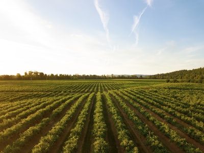 Fusión LiDAR heterogénea y reordenamiento para agricultura