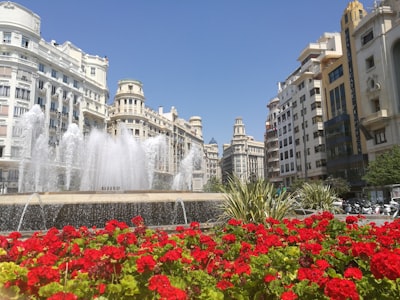 Top 20 Soluciones digitales en Valencia